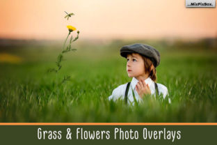Grass and Flowers Photo Overlays Evaluation