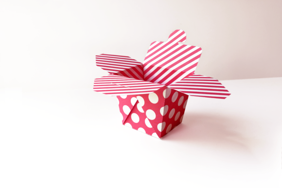 Takeout Container Box: The Ultimate Versatile Tool for Creators and Entrepreneurs